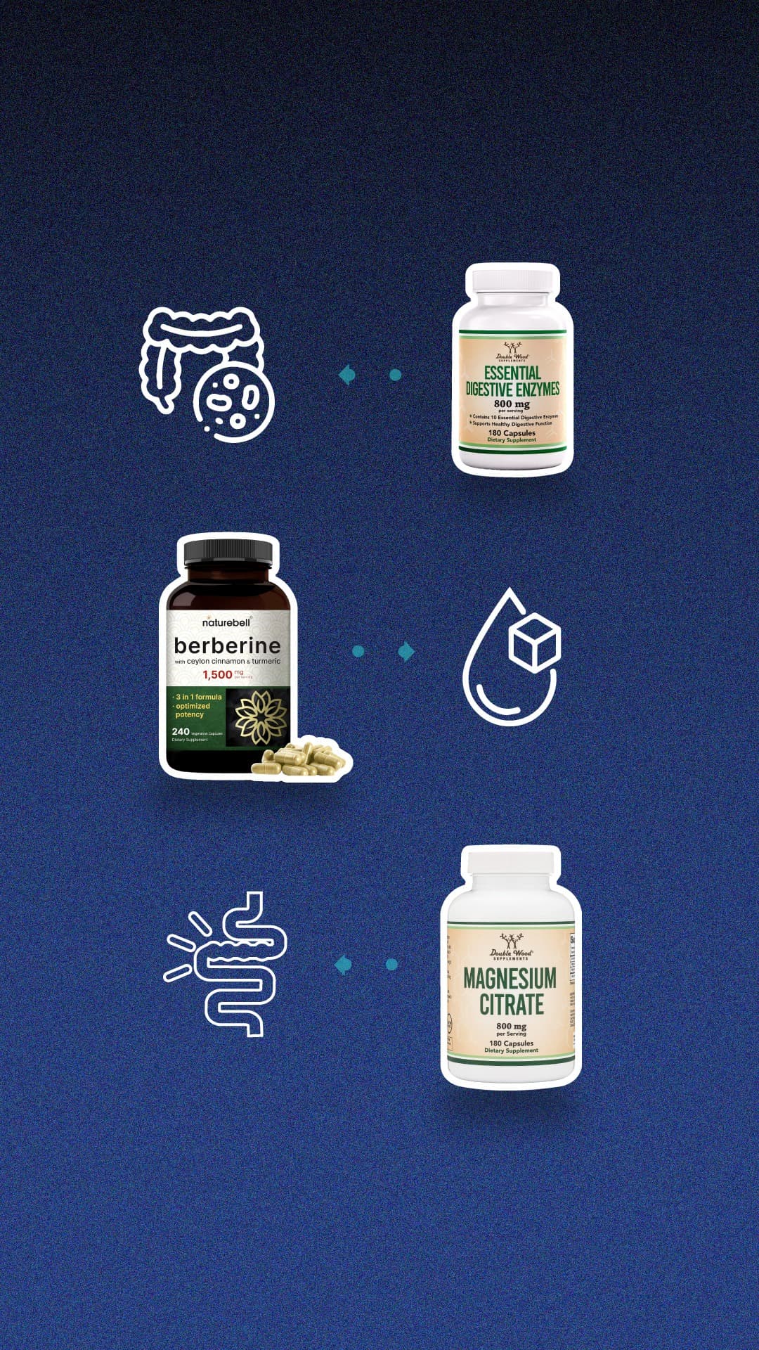 Editorial digestiva de Bloom Club CR