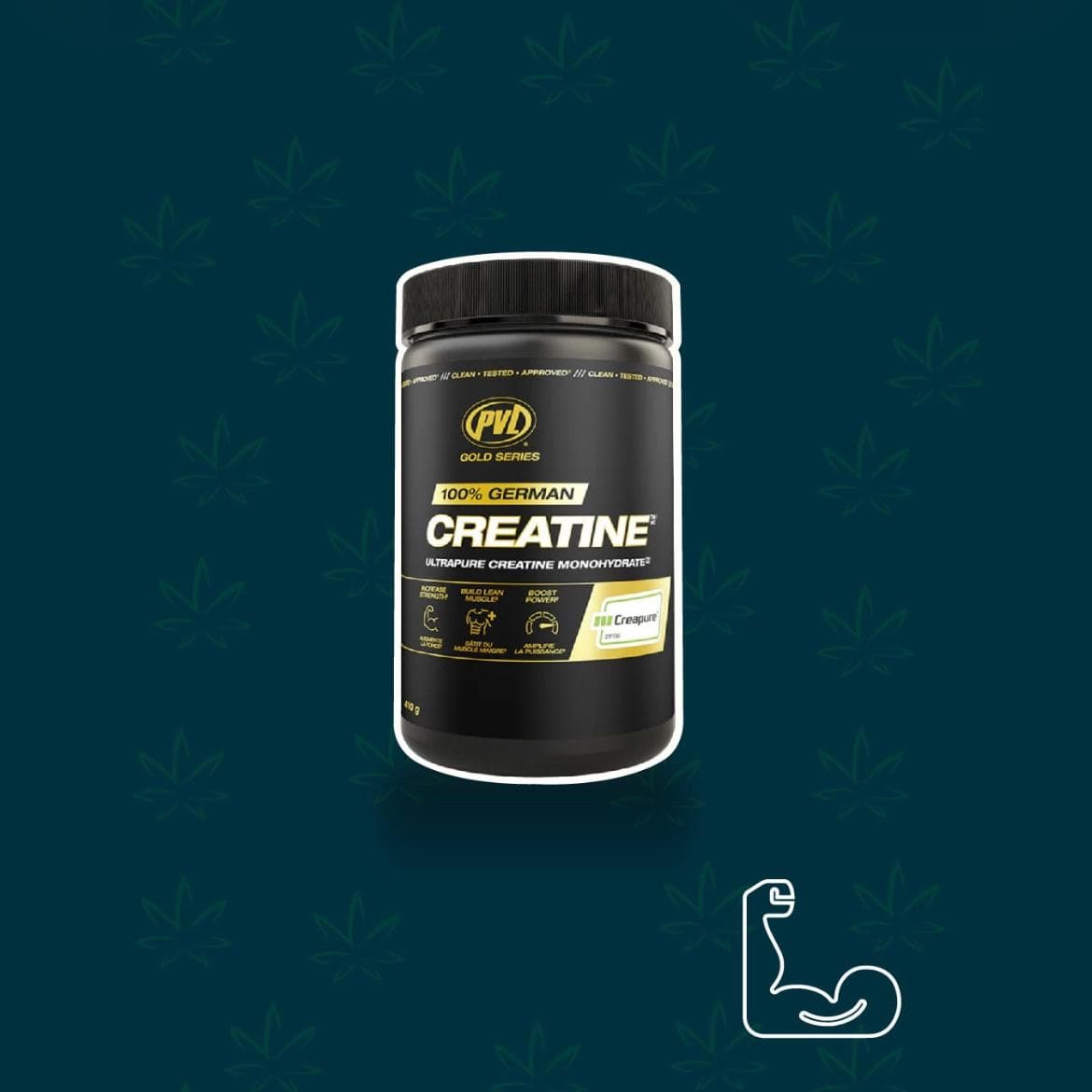 Creatina