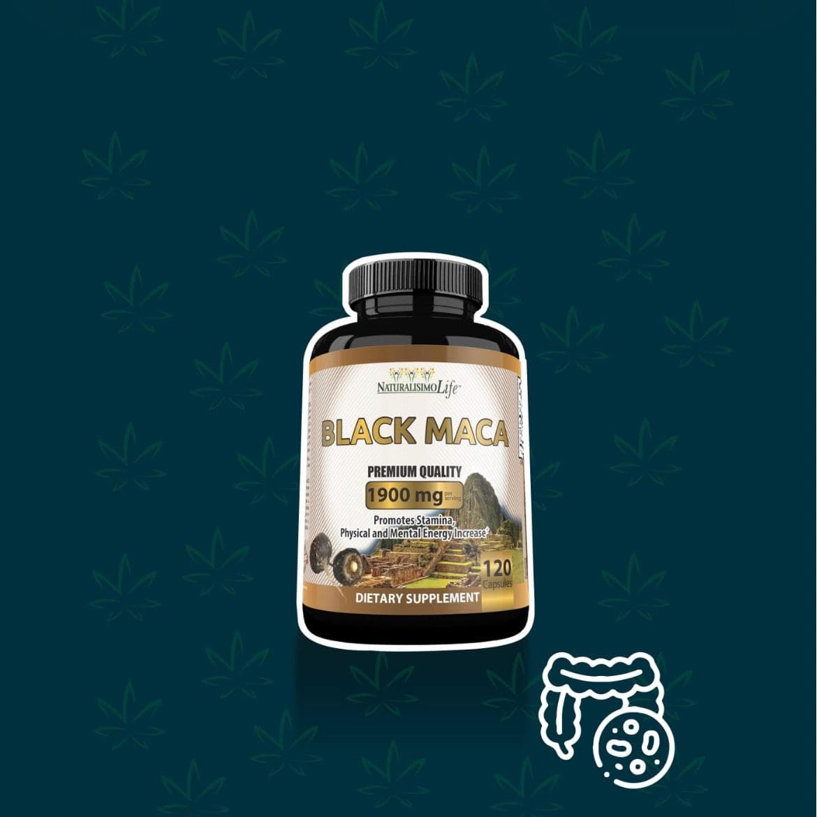 Maca negra