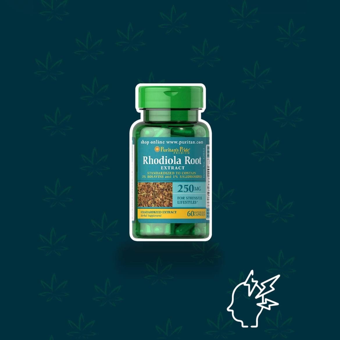 Rhodiola Root