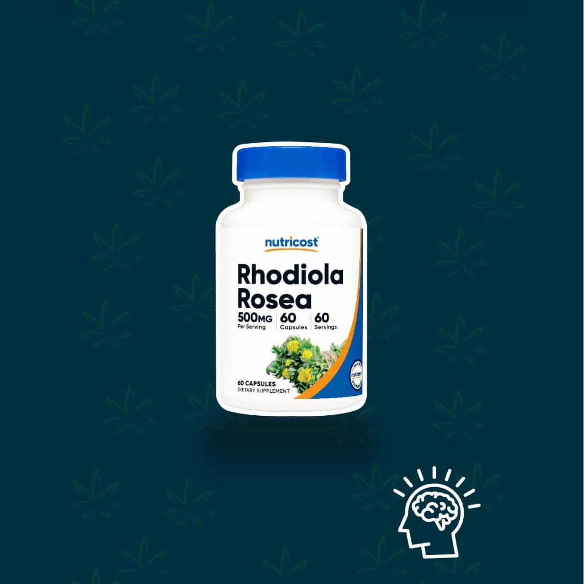 Rhodiola Rosea