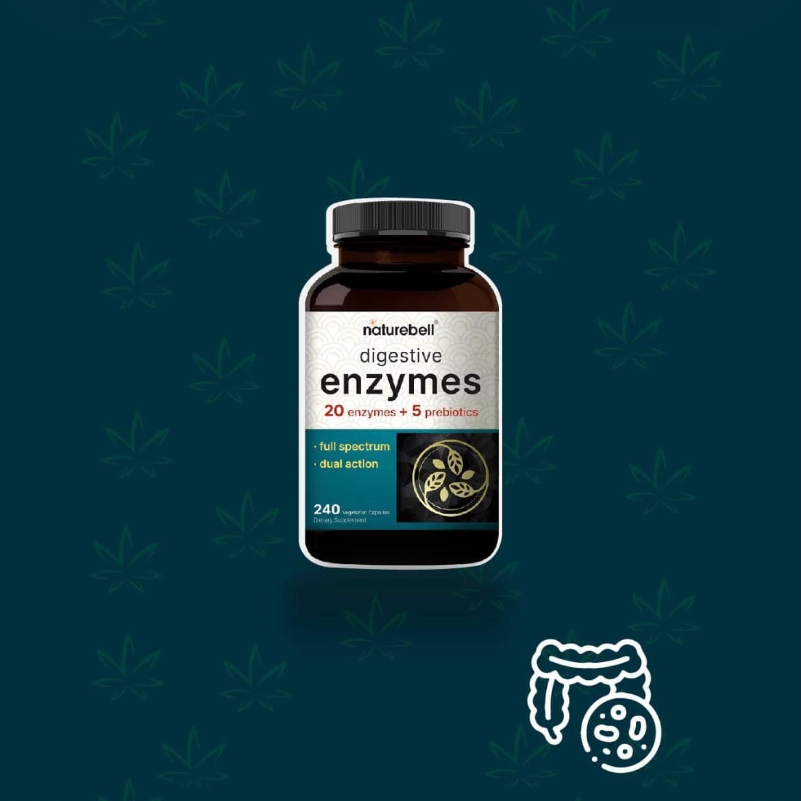 Enzimas digestivas