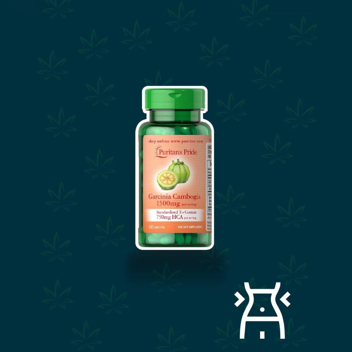Garcinia Cambogia