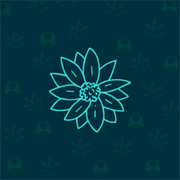 Bloom Club