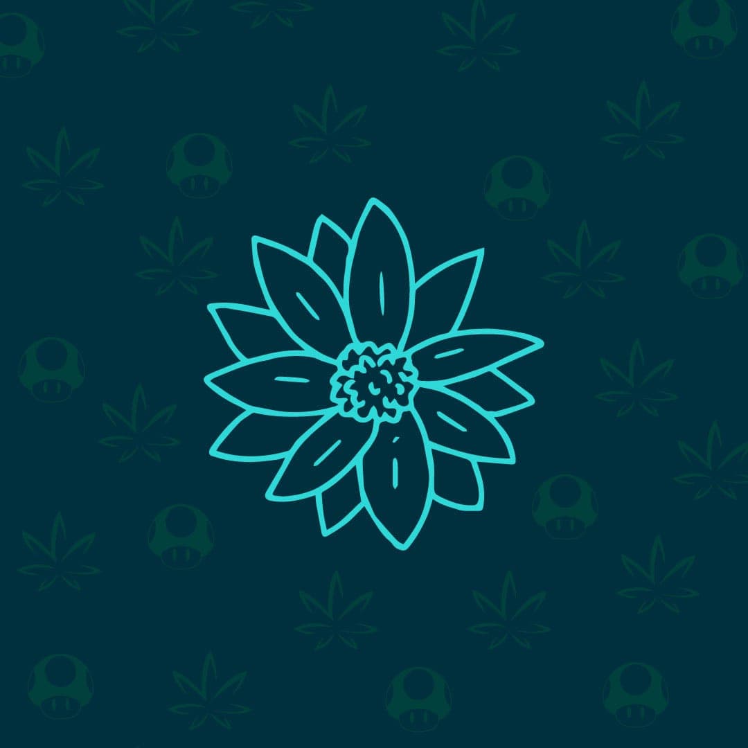 Logo Bloom Club