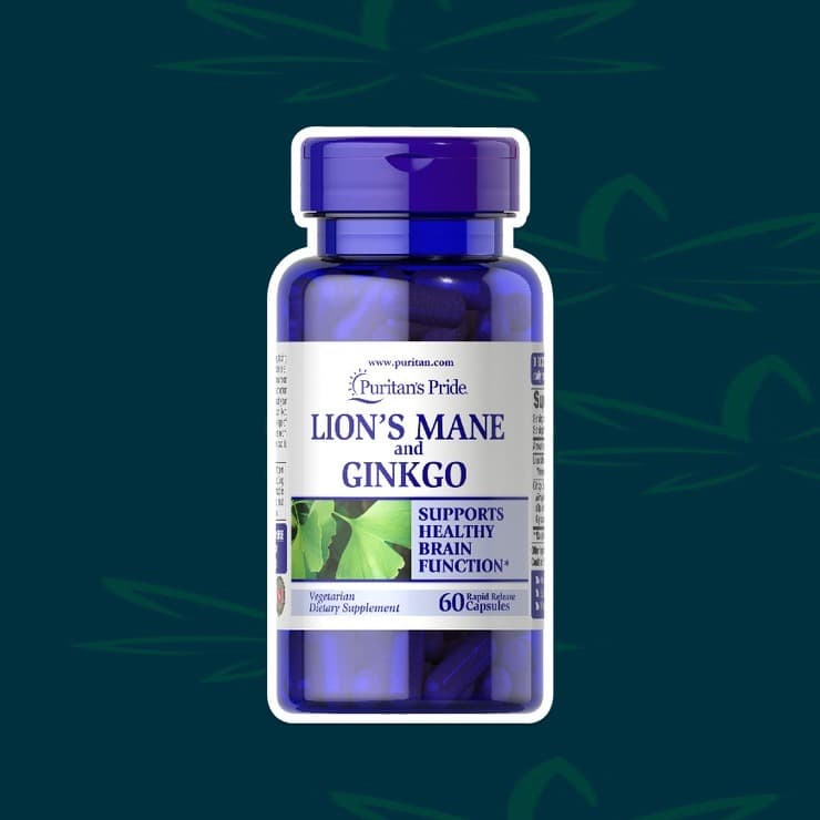 Lion's Mane and Ginkgo