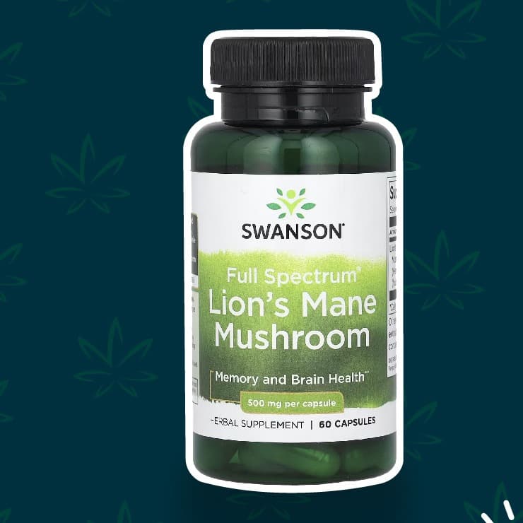 Lion's Mane Mushroom