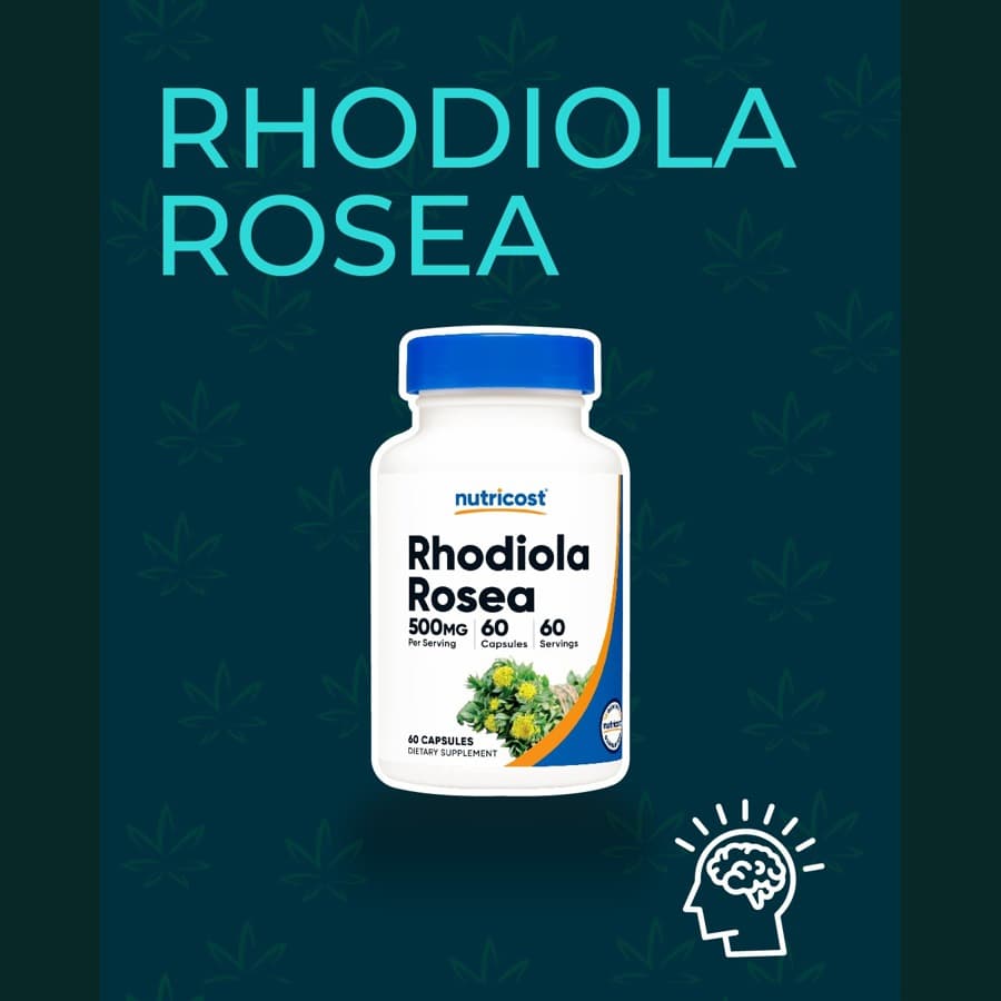Rhodiola Rosea 500mg